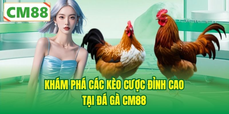 Khám phá các kèo cược đỉnh cao tại Đá Gà CM88