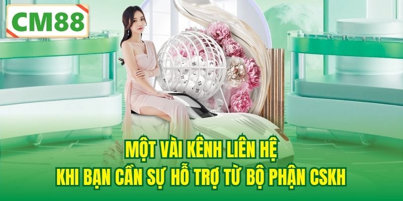 Một vài kênh liên hệ khi bạn cần sự hỗ trợ từ bộ phận CSKH
